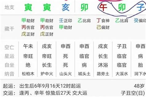 辛金 丙火|天干地支之辛金